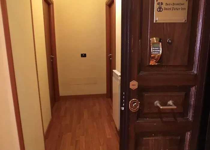 圣彼得酒店 4* 罗马